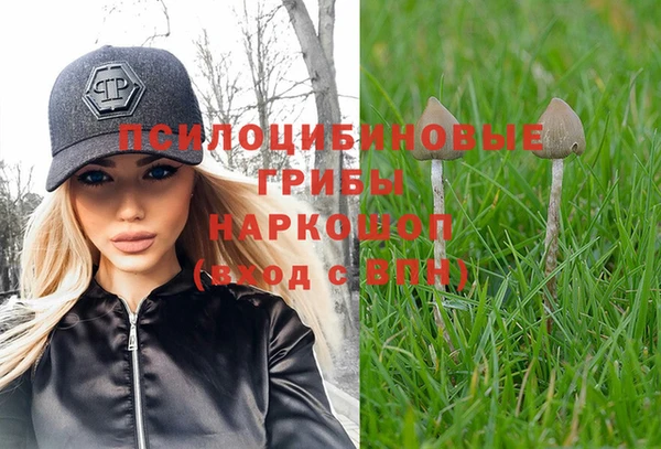 spice Михайлов