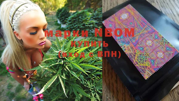 spice Михайлов